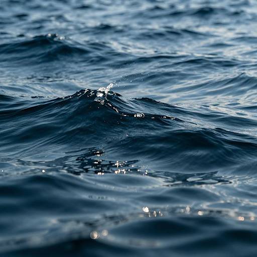 Ocean of Liquid Time and Starlight