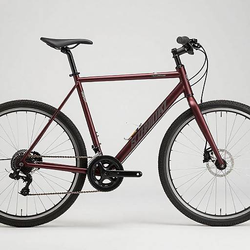 Bicycle Frame Featuring Gas Tank