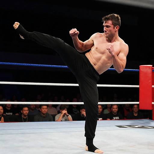 Dynamic Wrestling Kick in Dramatic Setting