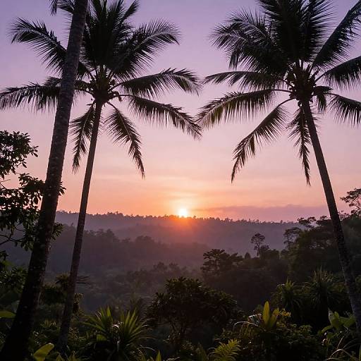 Photograph of a tropical sunset with silhouetted palm trees framing a vibrant orange and pink sky over a lush, misty forest.