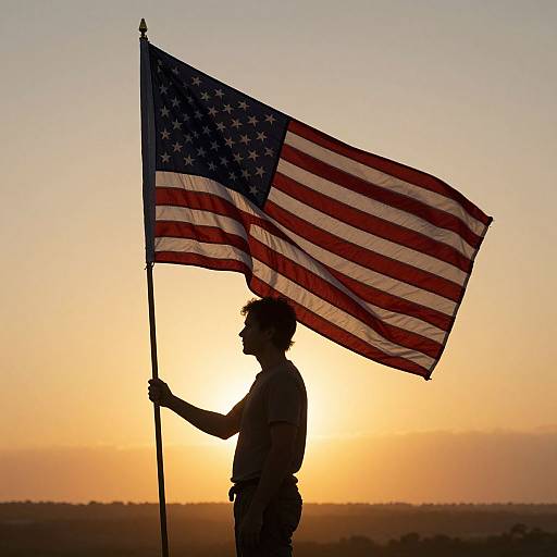 Silhouetted soldier holding large American flag against a glowing sunset, with orange and yellow sky and darkened landscape in background.