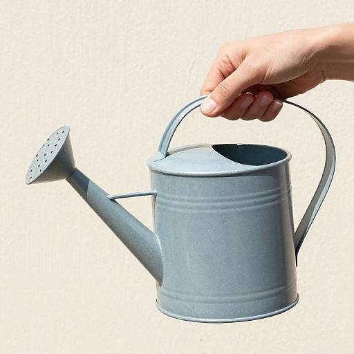 Helen Rietz Watering Can Illustration