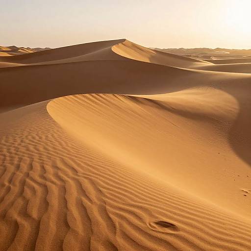 Graceful Sand Dunes at Sunset