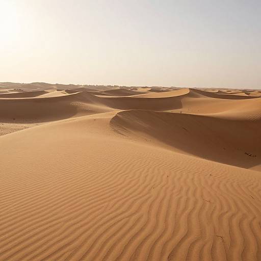 Photograph of a sunlit desert with rippled sand dunes, casting shadows, under a clear, bright sky, showcasing warm orange hues.