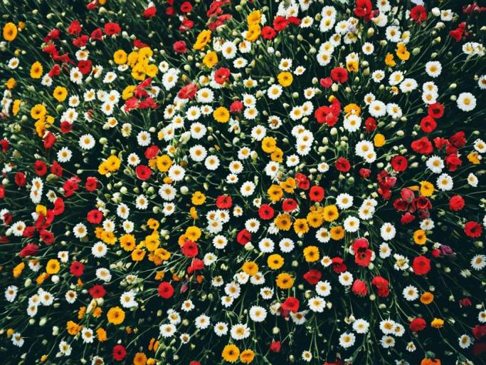 Vibrant Floral Background Wallpaper Design