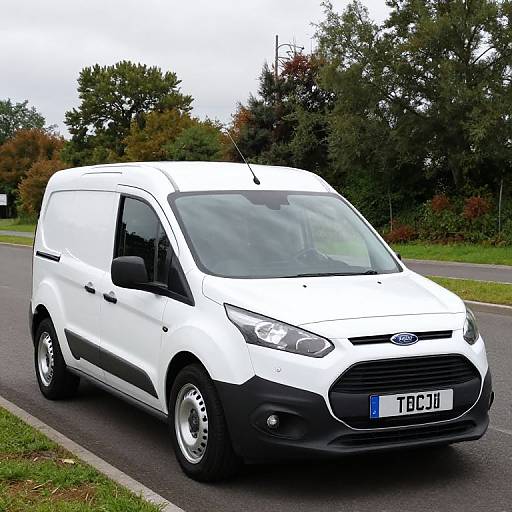 Photograph of a white Ford Transit Connect van with black accents, parked on a paved road, surrounded by green grass and trees. License plate reads 