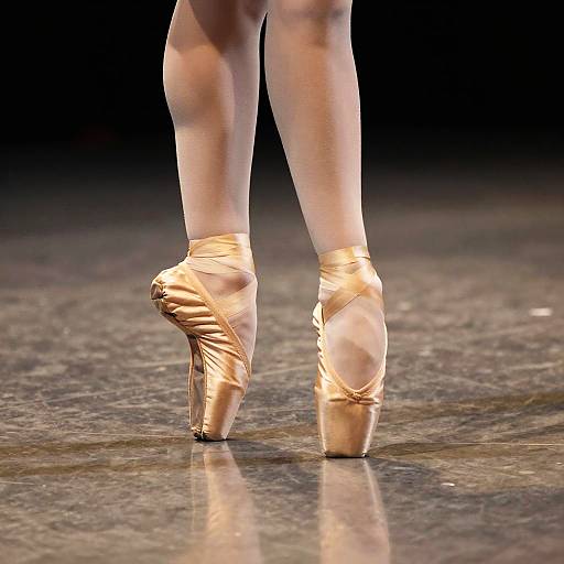 Ballet Dancer's Feet in Pointe Shoes