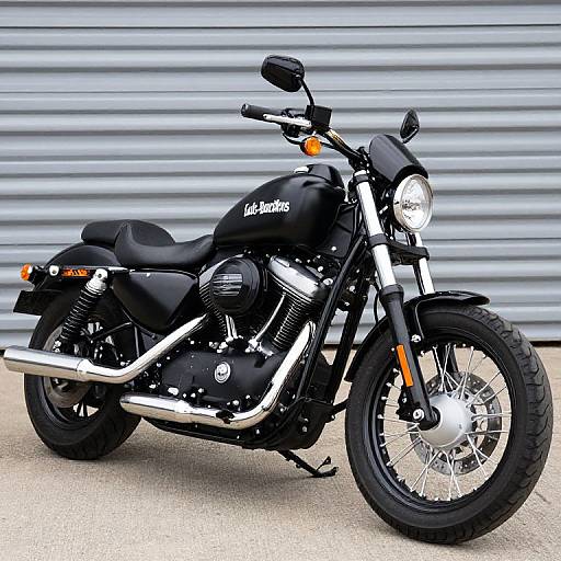 2019 Harley-Davidson 1200 Custom Photo