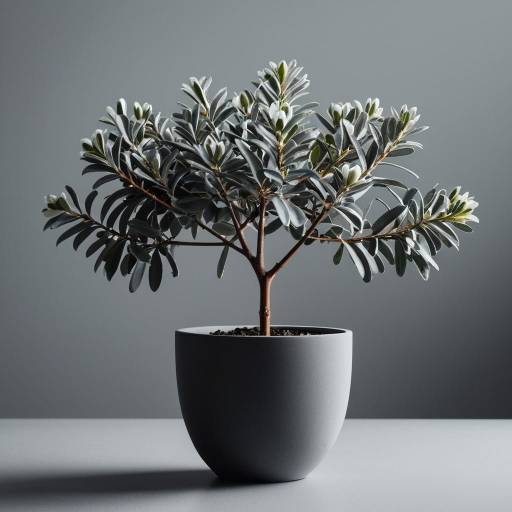 Modern Jojoba Shrub in Frosted Glass