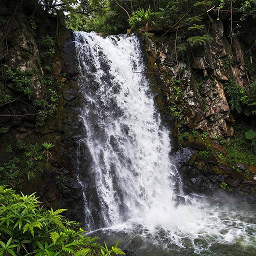 Vibrant Waterfall Amidst Lush Greenery