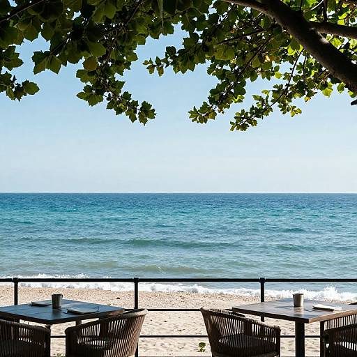 Serene Nature at Evian Resort Terrace