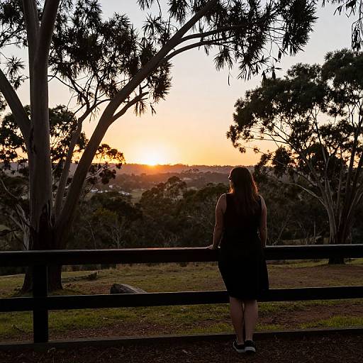 Lady Gazing Through Trees at Sunset