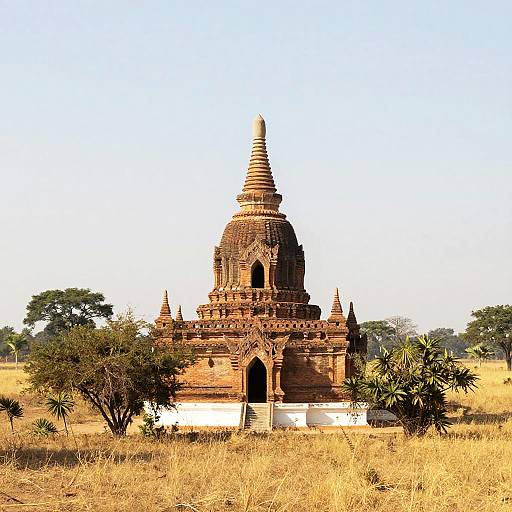 Photograph of a weathered, brown brick Buddhist stupa with a tall, pointed spire, set in a dry, golden grass field with scattered