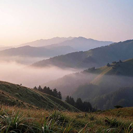 Serene Misty Mountain Landscape