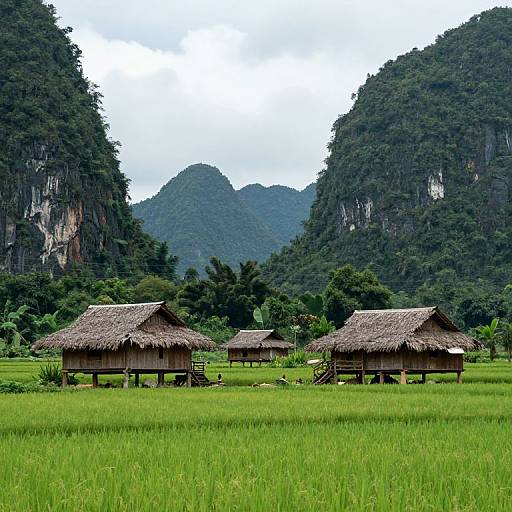 Photograph of rustic thatched huts in vibrant green rice field, surrounded by lush forested mountains, under a cloudy sky.