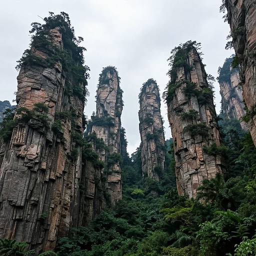 Photograph of towering, rugged limestone cliffs covered in greenery, rising dramatically against a pale, overcast sky in a dense forest.