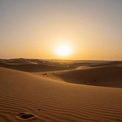 Desert Sunset and Timeless Solitude