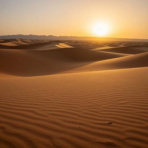 Photograph of a golden desert sunset, with ripples in the sand, casting warm shadows, and the sun low on the horizon.