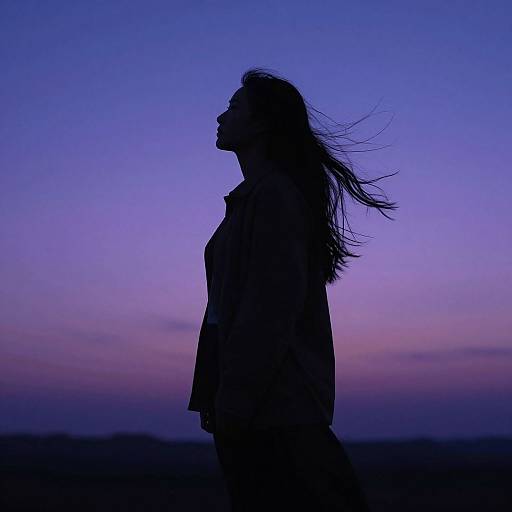 Silhouette photograph of a woman with long hair against a twilight sky, blending purple and blue hues. She stands in profile, her hair gently blowing.