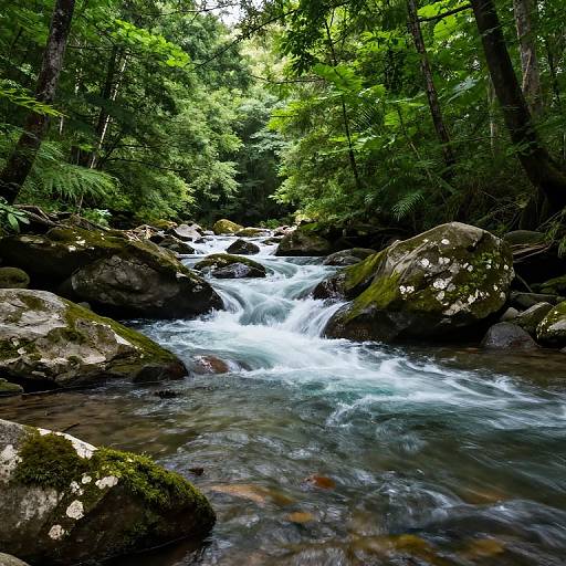 Photograph of a lush, green forest stream with fast-flowing white water cascading over moss-covered rocks, surrounded by dense trees.
