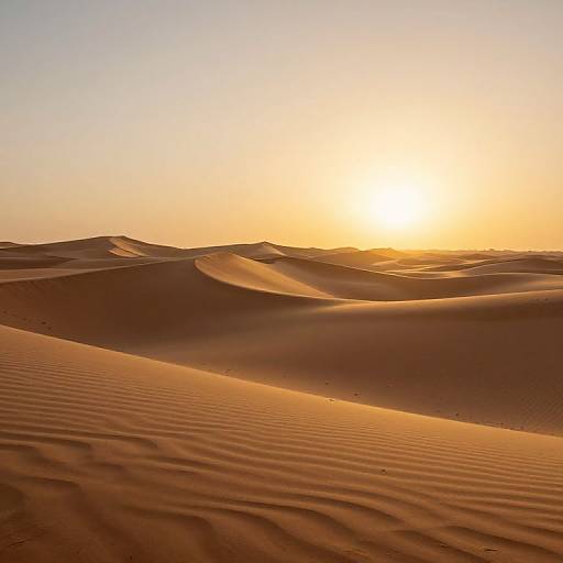 Photograph of a golden sunset over rippled desert sand dunes, casting warm, orange hues across the undulating, textured landscape.