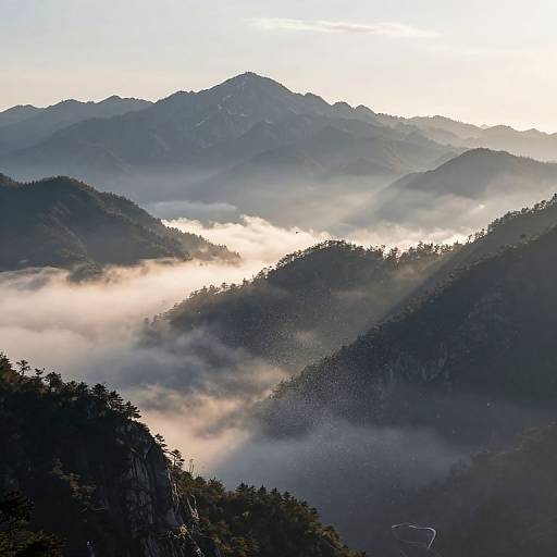 Breathing Mountains with Stardust Avalanches