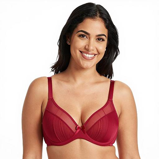 Elegant Woman in Sheer Red Bra