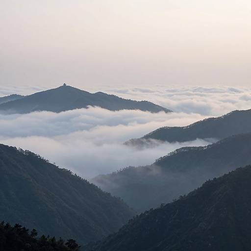 Photograph of mist-covered, dark green mountain peaks with layers of white, fluffy clouds drifting between them, under a bright, overexposed sky.
