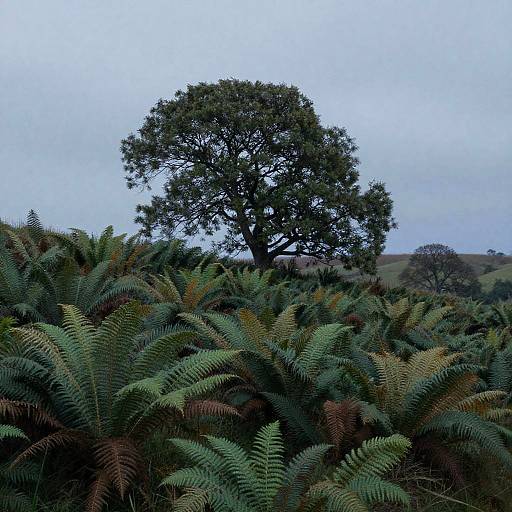 Impressionist Whispering Pines Hill