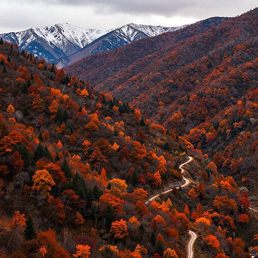 Autumn Mountain Range with Fiery Foliage