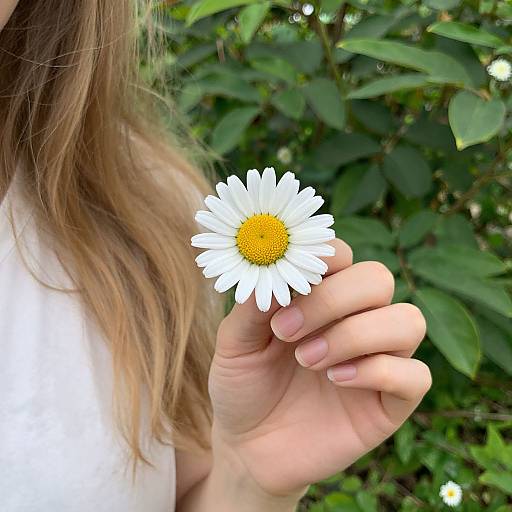 Blonde Woman with White Daisy