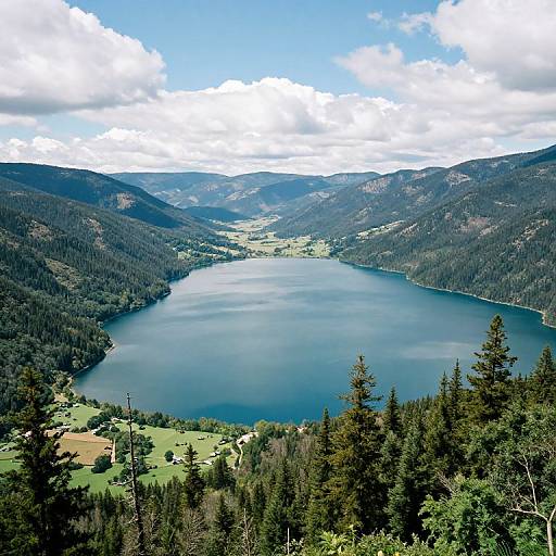 Photograph of a serene, mountainous landscape featuring a large, blue lake surrounded by dense evergreen forests and green meadows, under a bright,