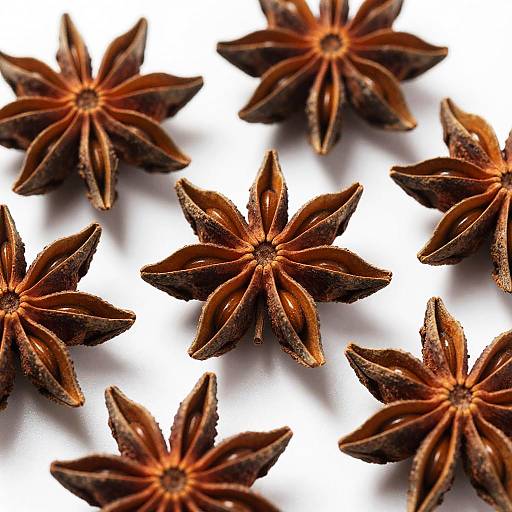 Close-Up of Dried Star Anise Pods