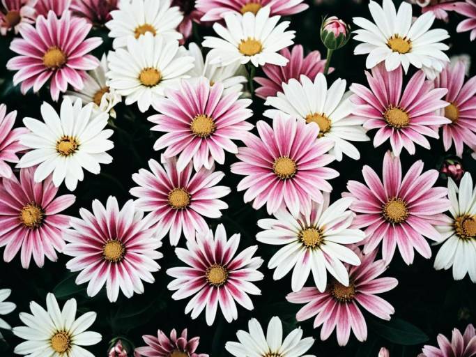 Close-Up Digital Flower Wallpaper Design