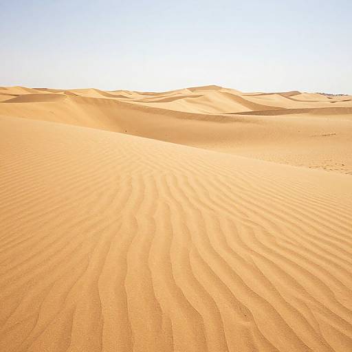 Endless Golden Sand Dunes Serenity