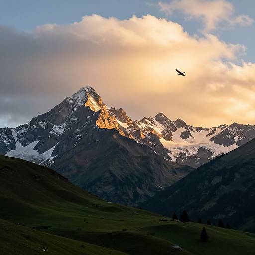 Golden Dawn Over Alpine Mountains