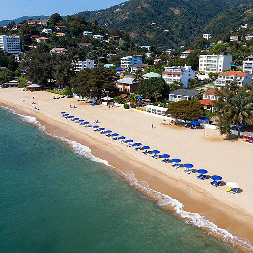 Aerial View of Sunny Tropical Beach