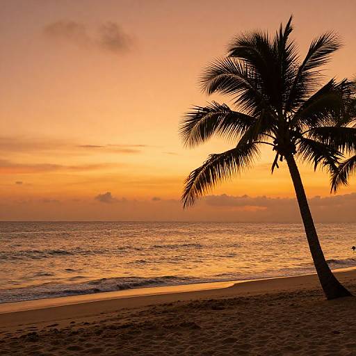 Orange Serene Beach at Golden Hour