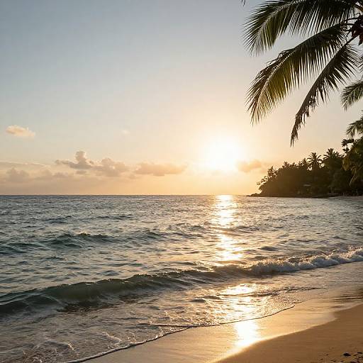 Sunset over a calm ocean, with gentle waves lapping the sandy shore. Palm fronds frame the right side, casting shadows. Golden sunlight reflects