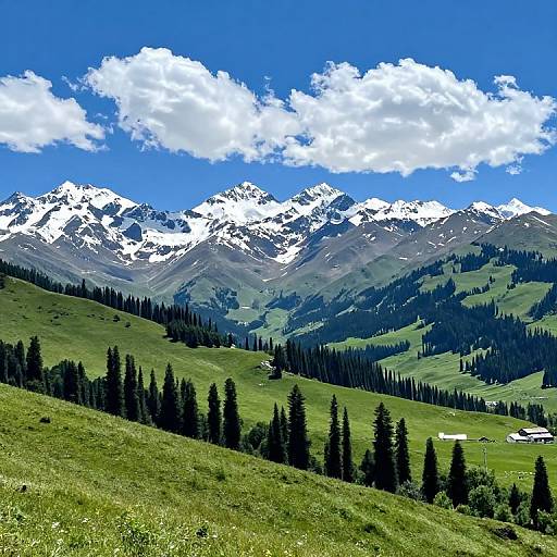 Photograph of a vibrant alpine landscape with snow-capped mountains, lush green hills, dense pine trees, and a bright blue sky with fluffy white