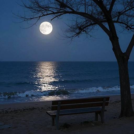 Photograph of a dark blue moonlit beach, with a silhouetted tree and bench facing the glowing full moon and shimmering sea.