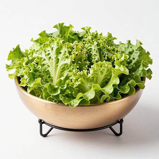 Elegant Mottahedeh Lettuce Tureen
