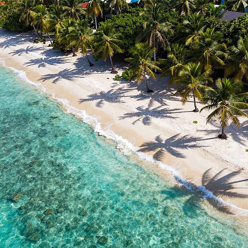 Aerial View of Tropical Paradise