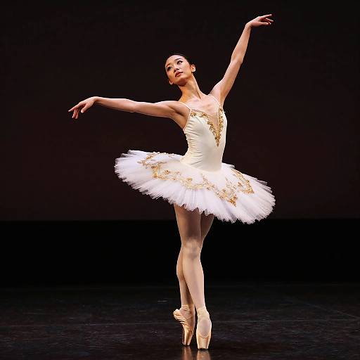 Elegant Ballerina in Dramatic Spotlight