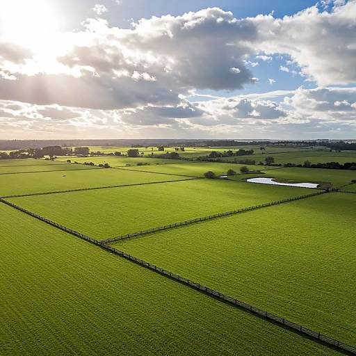 Aerial View of Vibrant Countryside