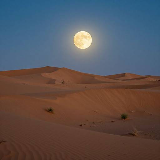 Twilight Desert Moonlit Landscape
