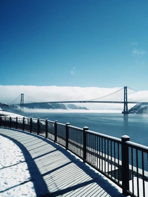 Serene Outdoor Landscape with Bridge Scene