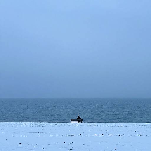 Winter's Quiet Embrace and Solitude