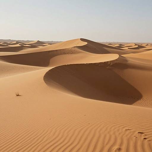 Deserts Mapped by Emotions