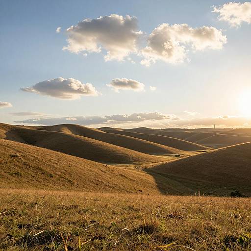 Golden Sunset Over Rolling Hills Landscape